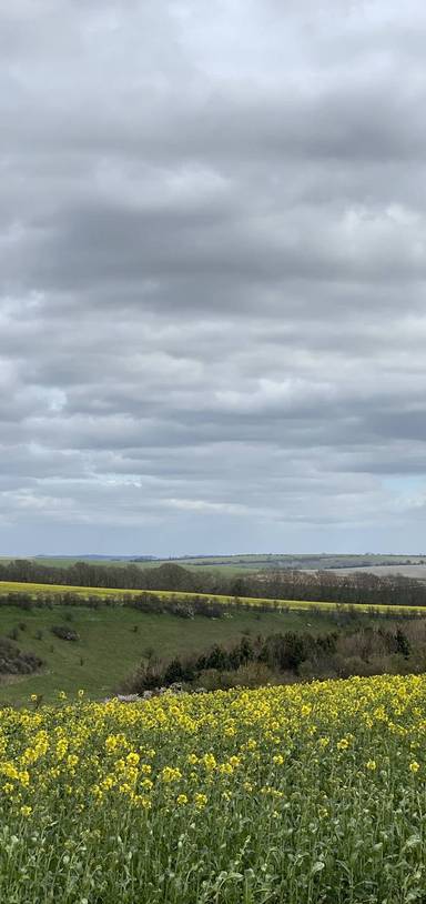 Preview of Pub Walk to Broadchalke Views