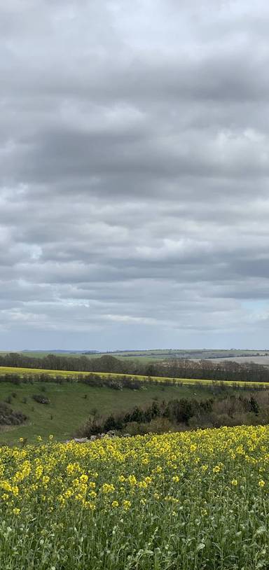 Preview of Pub Walk to Broadchalke Views 