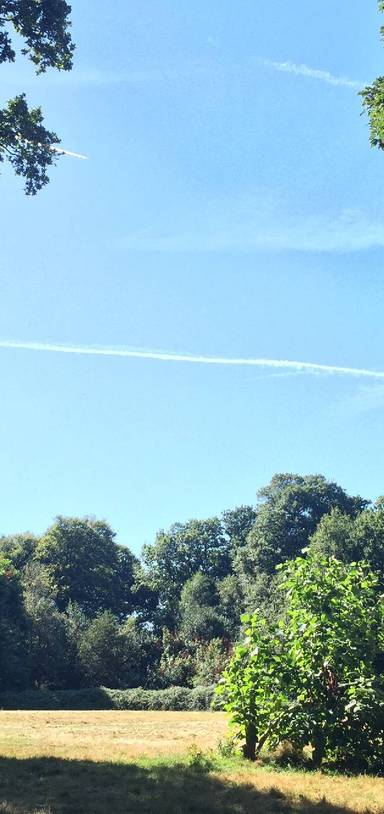 Preview of Oxleas Wood & Severndroog Castle