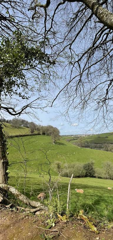 Preview of Totnes River Dart circular