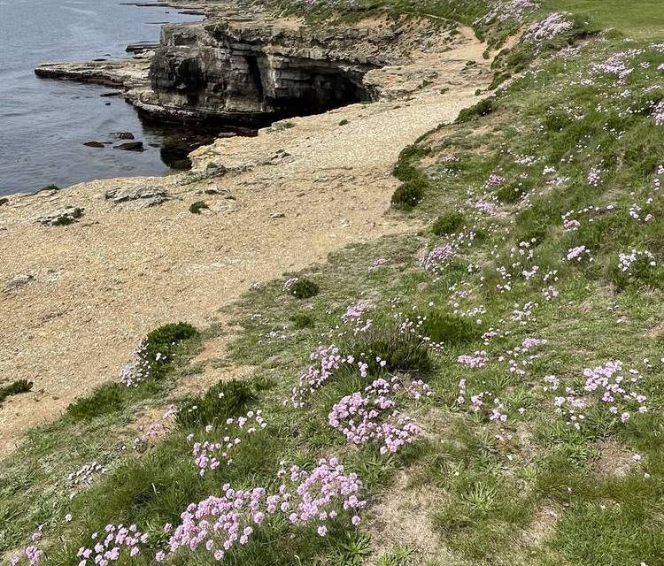 Preview of South Portland Circular