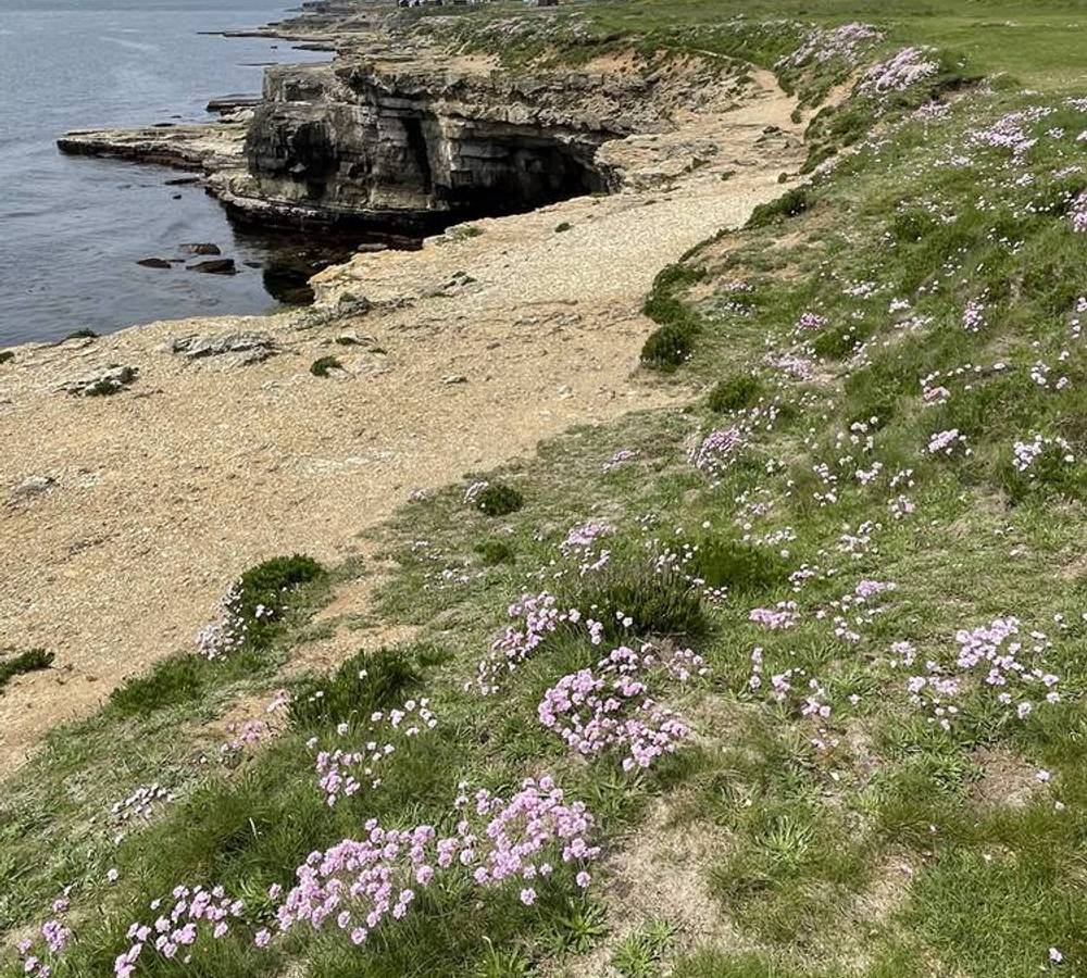 Preview of South Portland Circular