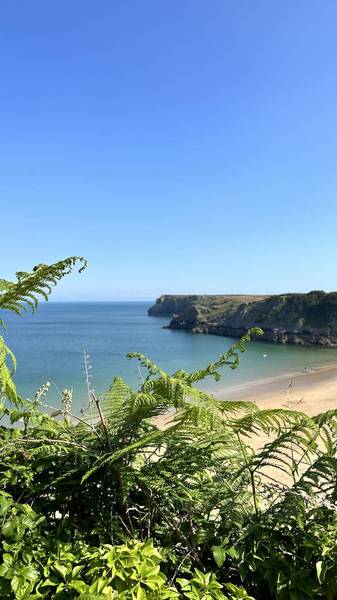 Preview of Stackpole Quay to Barafundle Bay 