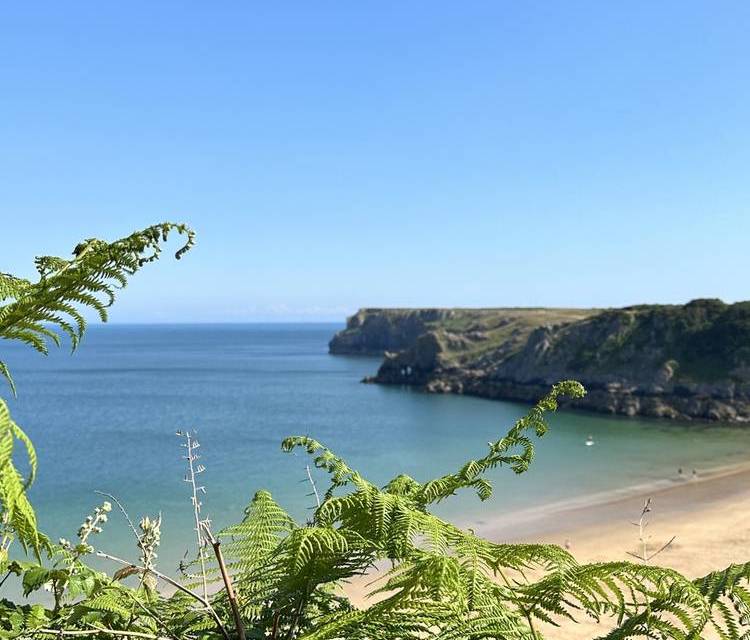 Preview of Stackpole Quay to Barafundle Bay