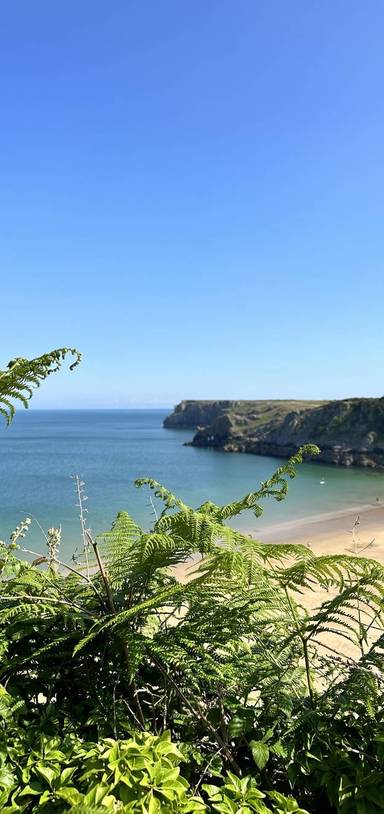 Preview of Stackpole Quay to Barafundle Bay