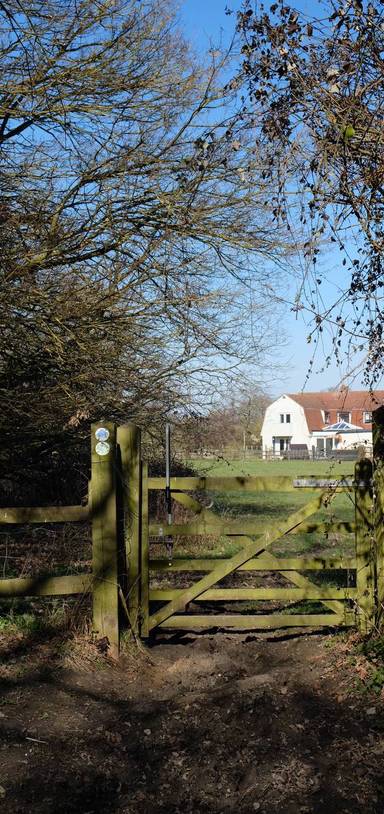 Preview of Walking Through Thrift Wood