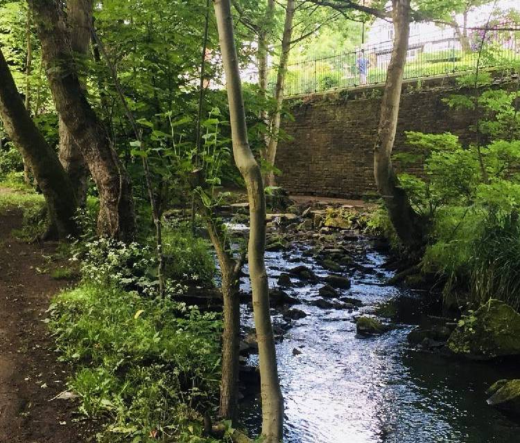 Preview of Sheffield Round Walk Section 1