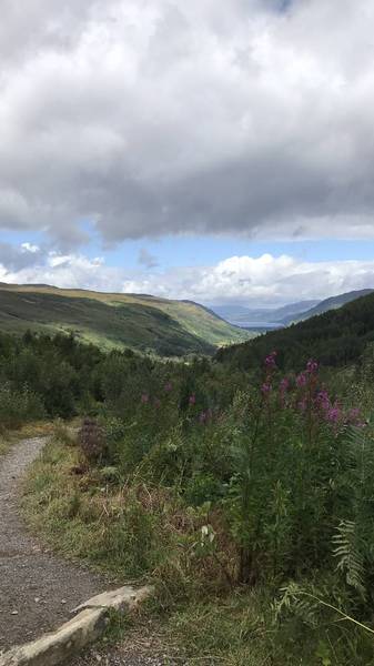 Preview of Corrieshalloch Gorge walk, Scotland