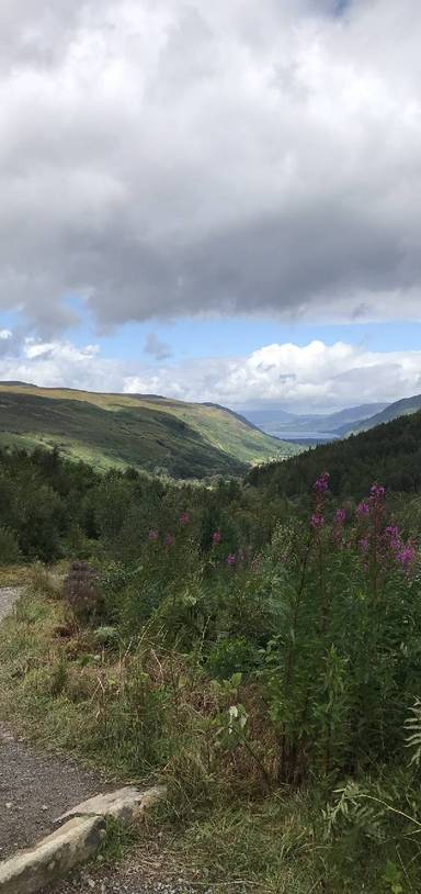 Preview of Corrieshalloch Gorge walk, Scotland