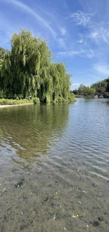 Preview of Shaun the Sheep in St Albans