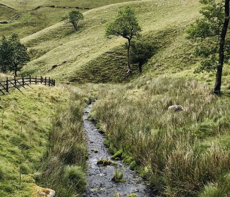Preview of Edale Rocks!