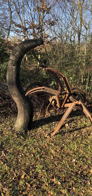 Preview of Shorne Wood Country Park