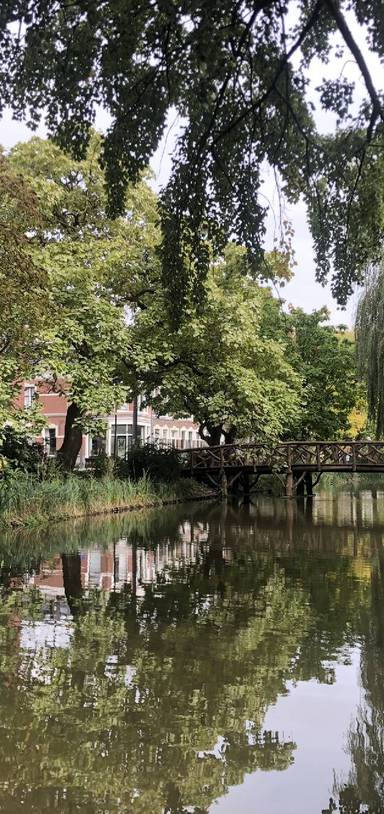 Preview of Lunchtime Nature Break in Rotterdam