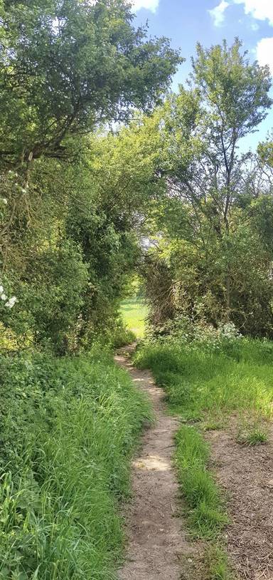 Preview of London Loop Section 22