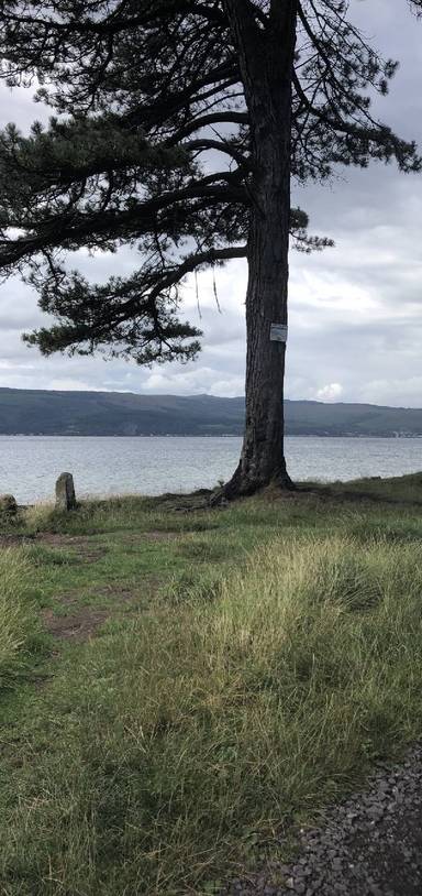 Preview of Ardgowan Estate