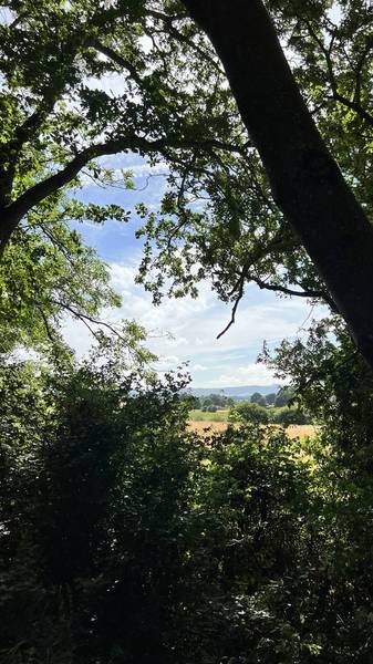 Preview of The South Downs Country Trail