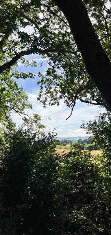 Preview of The South Downs Country Trail