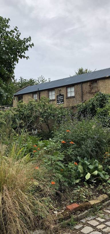 Preview of City farm, Columbia Rd & Canal 