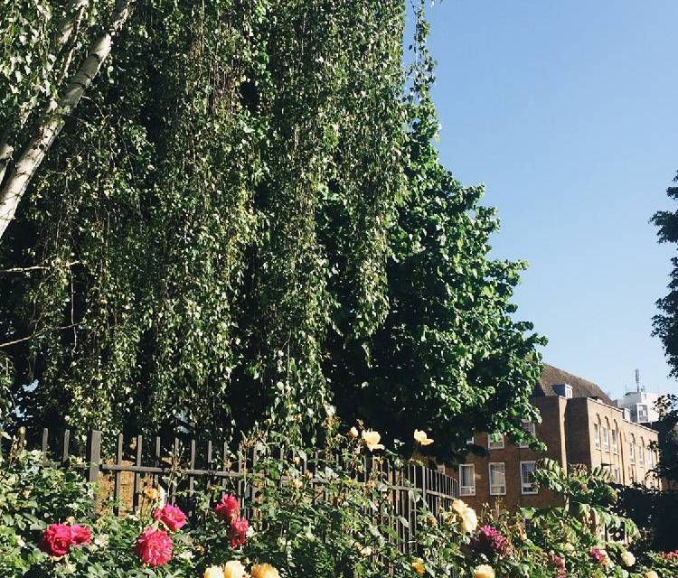 Preview of Wapping to London Bridge