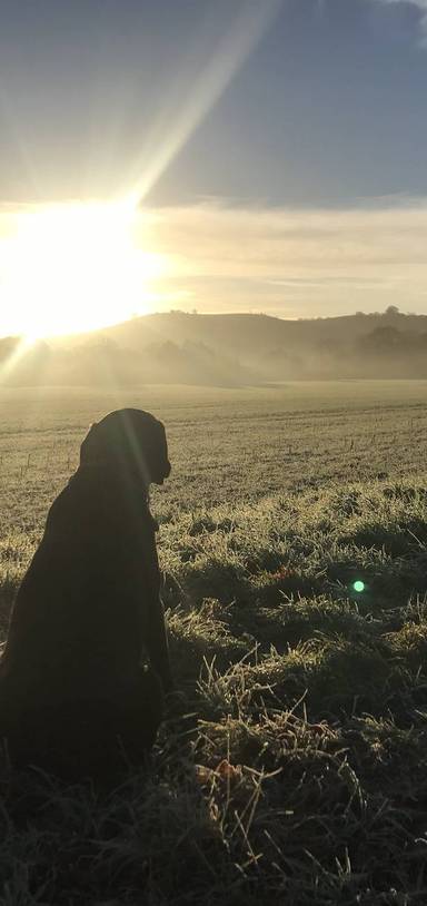 Preview of Pegsdon nature reserve circular