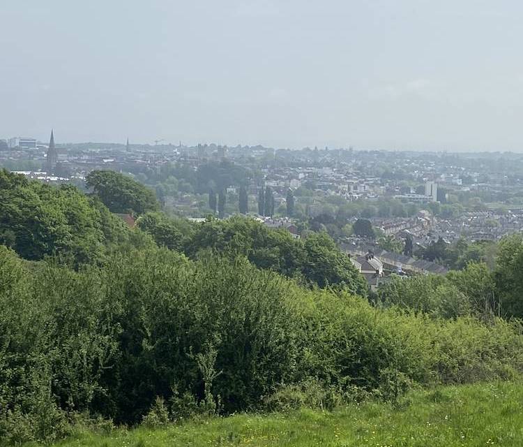 Preview of Exeter Green Circle - Clockwise