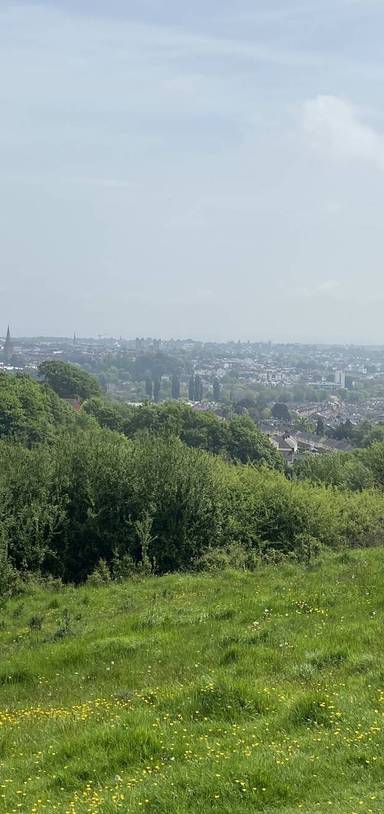 Preview of Exeter Green Circle - Clockwise