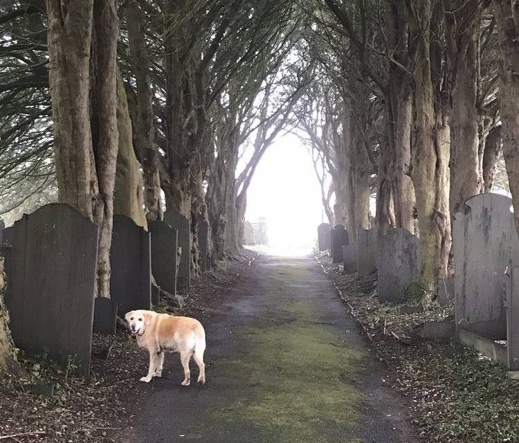 Preview of Slate Trail, Bangor to Bethesda