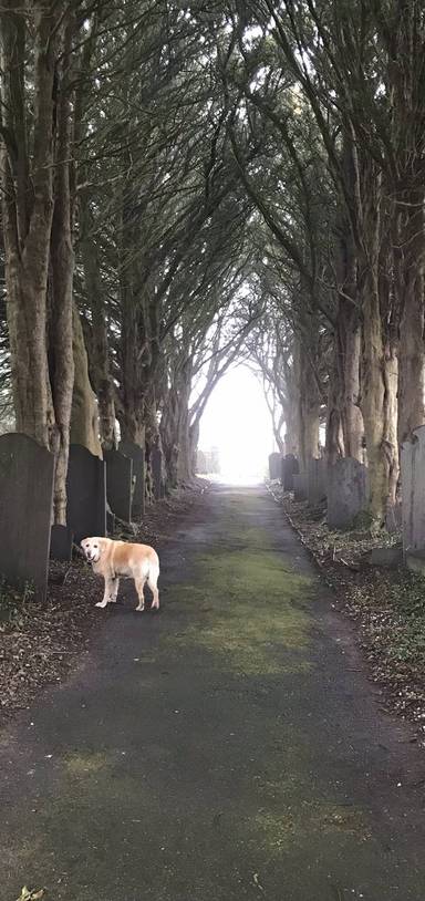 Preview of Slate Trail, Bangor to Bethesda