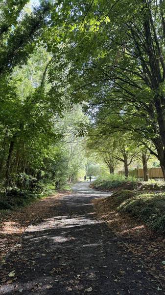 Preview of Halton Woodland & Nature Stroll