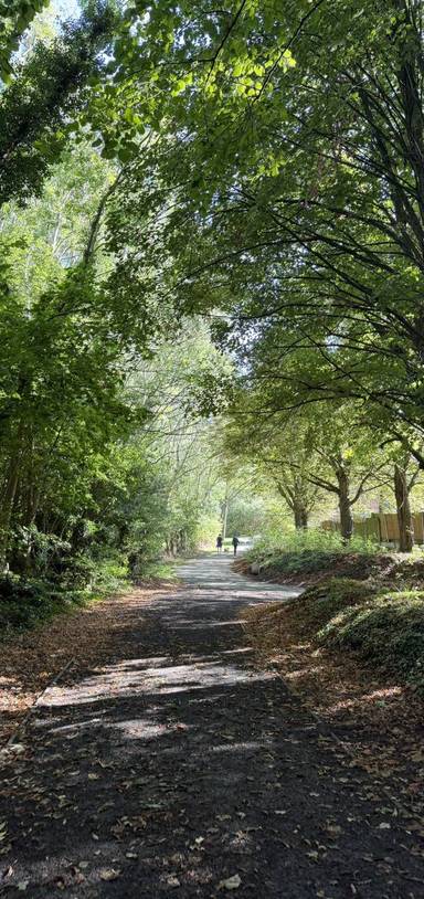 Preview of Halton Woodland & Nature Stroll