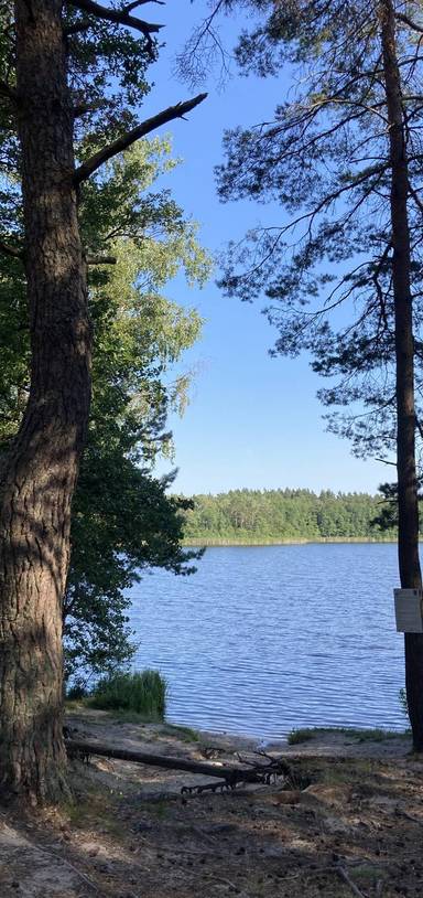 Preview of Woodland stroll & wild swim