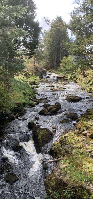 Preview of Edinbane forest walk