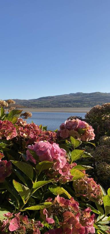 Preview of Portmeirion Woodland Walk