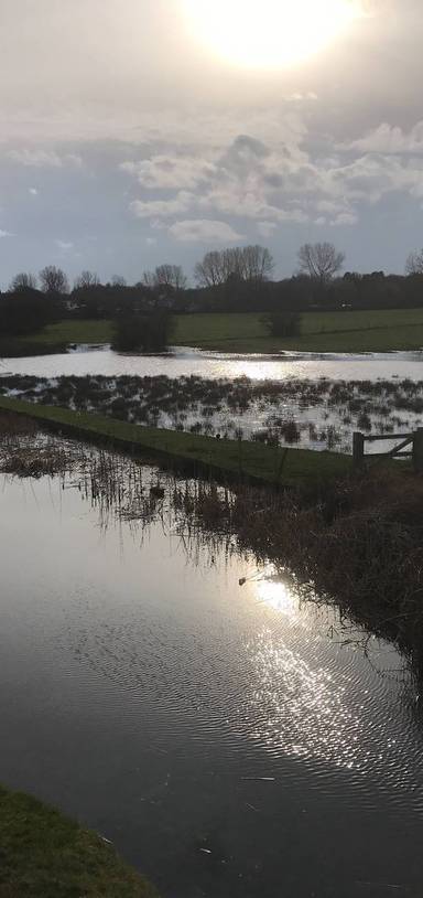 Preview of Pelsall Nest Common