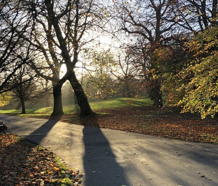 Preview of Morning Greenwich Loop