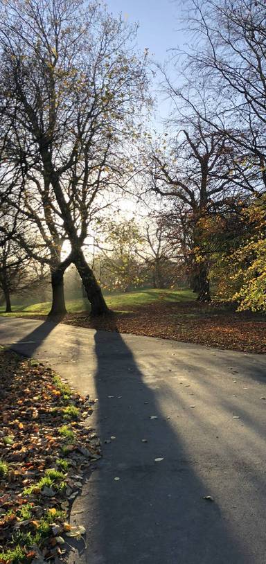 Preview of Morning Greenwich Loop