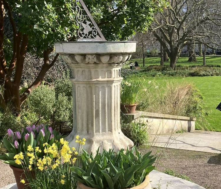Preview of Fleet Street flora & fauna