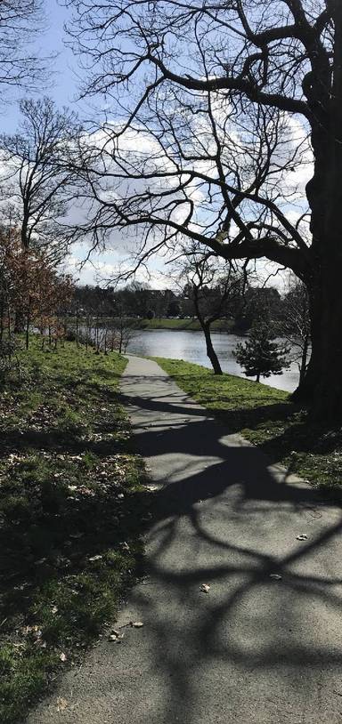 Preview of Sefton Park & Festival Garden jaunt