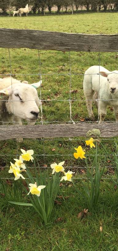 Preview of Easter countryside walk