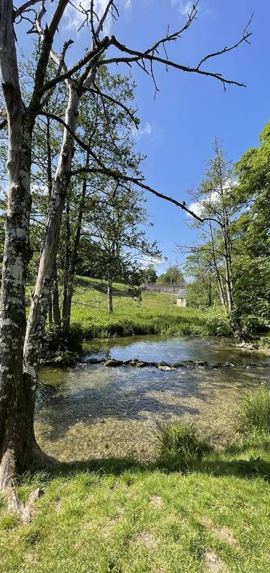 Preview of A paddle spot at Fonthill