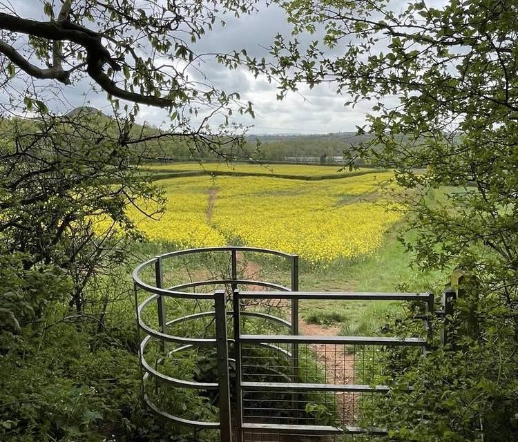 Preview of Paulton Nature Connection Loop