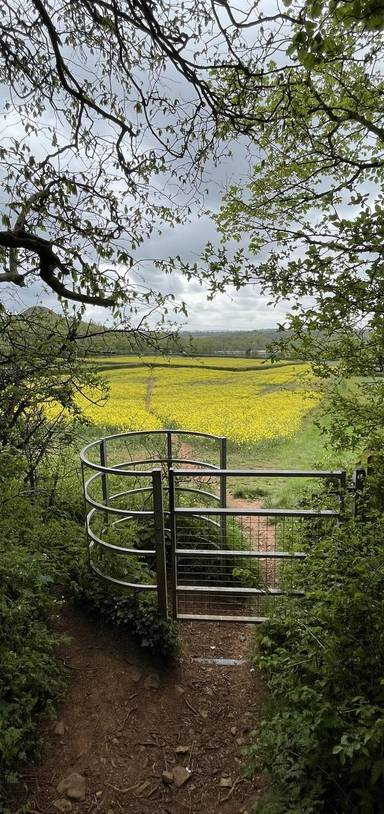 Preview of Paulton Nature Connection Loop