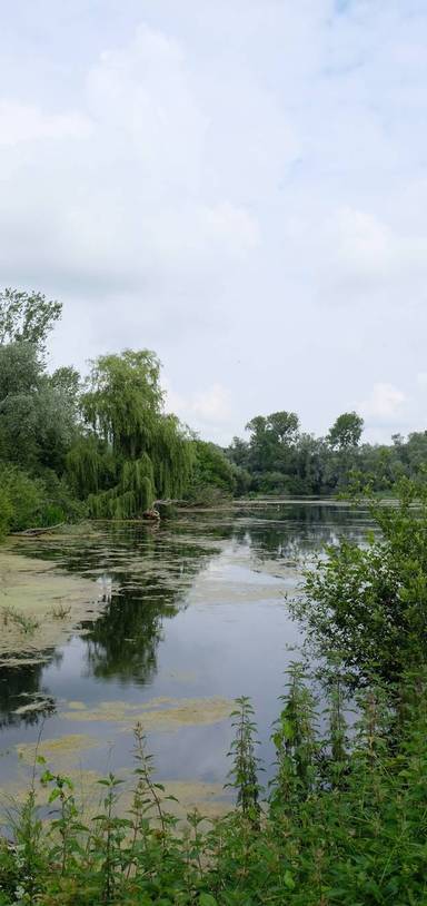 Preview of Paxton Pits Nature Reserve Trail 