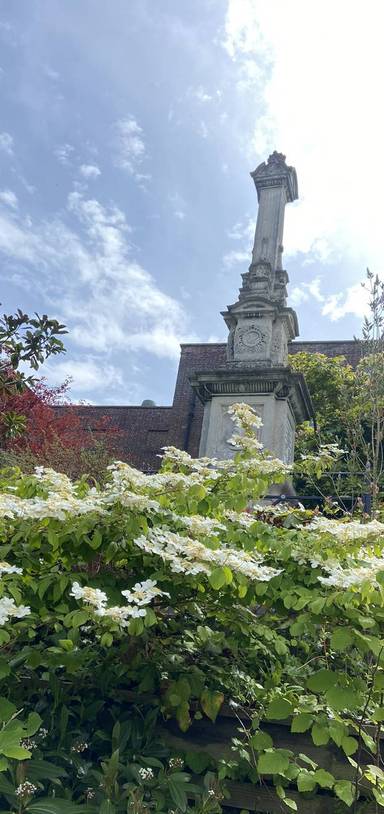 Preview of Northernhay Gardens Stroll