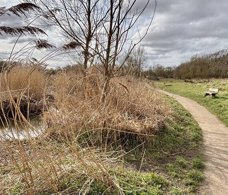 Preview of London Loop Section 23