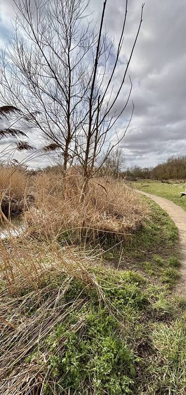Preview of London Loop Section 23