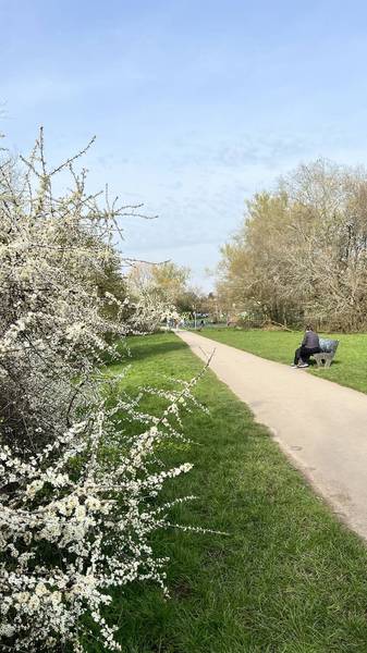 Preview of Bournville Blooming Trail