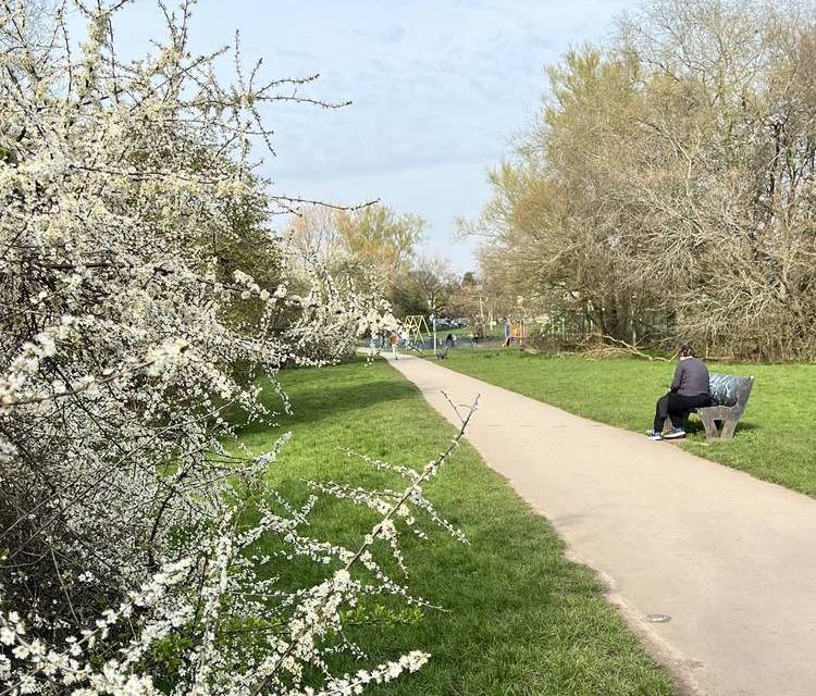 Preview of Bournville Blooming Trail