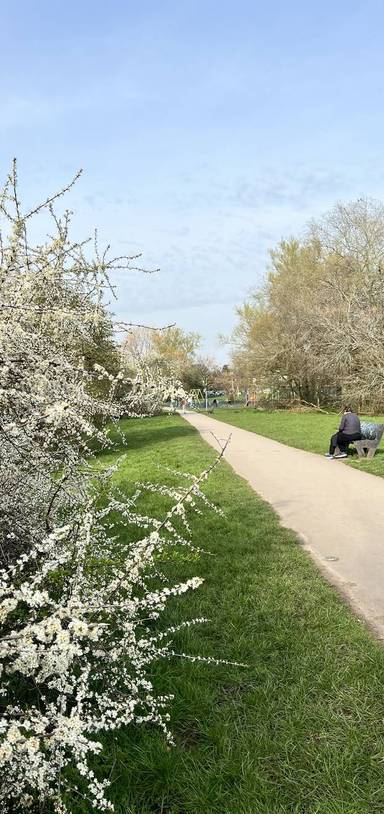 Preview of Bournville Blooming Trail