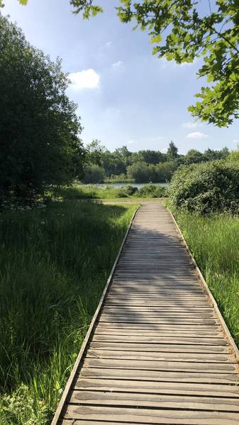 Preview of Slyfield lock and nature reserve